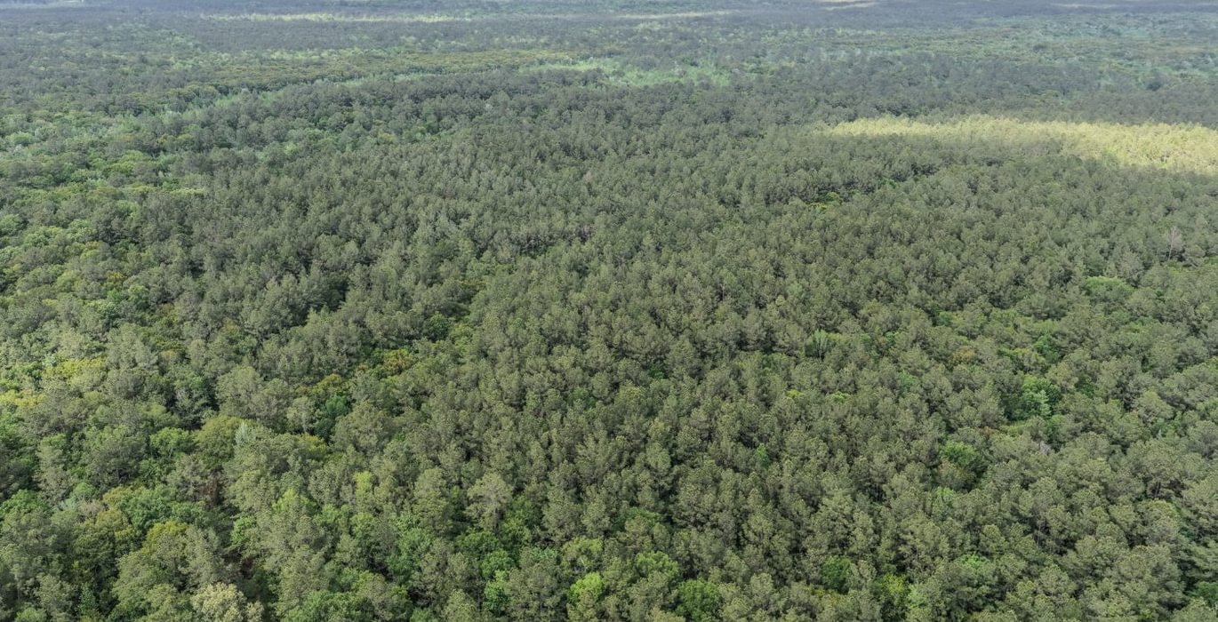 509 DJI 20260415155934 0155 D