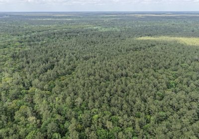 509 DJI 20260415155934 0155 D