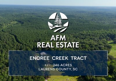 50 Enoree Creek 246 Laurens Co THUMBNAIL 1