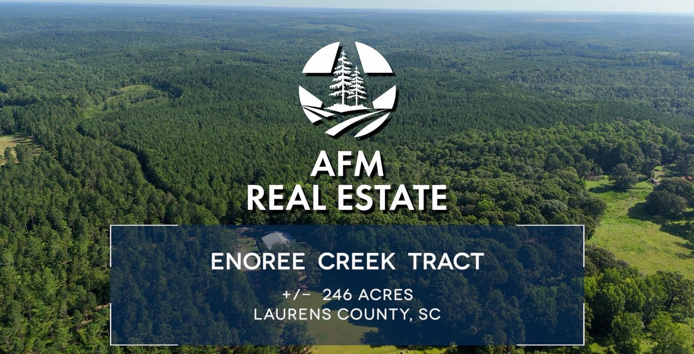 50 Enoree Creek 246 Laurens Co THUMBNAIL 1