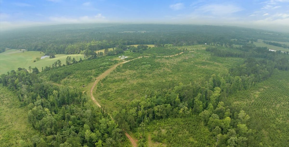 Photo 18 of L Jordan, 574 acres, Cherokee County, Texas