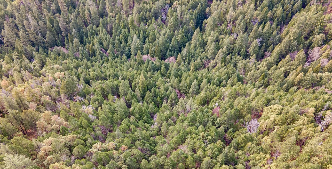 510 DJI 0786 HDR Image Merge