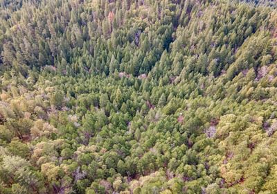 510 DJI 0786 HDR Image Merge