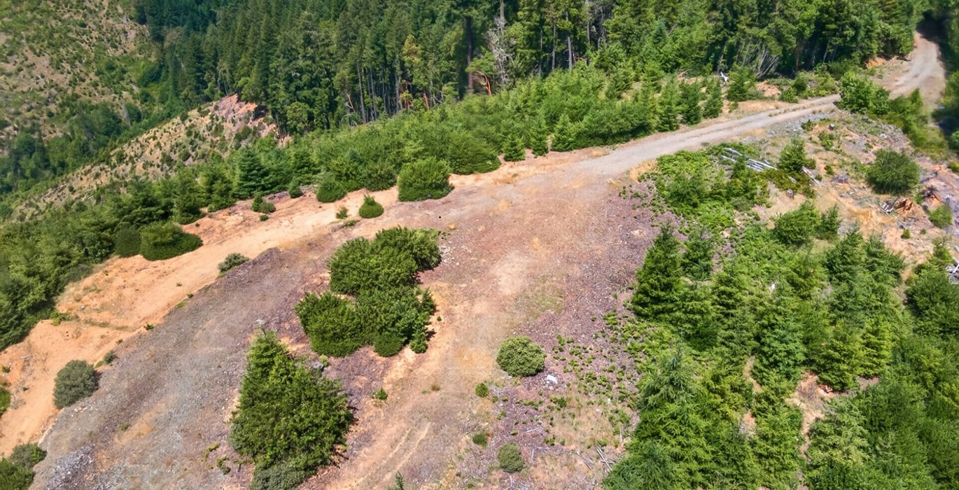 510 DJI 0958