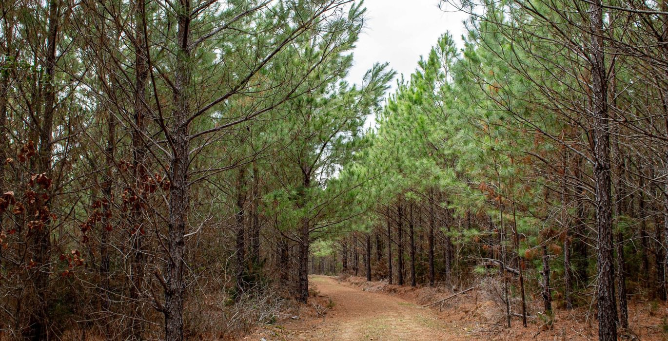 510 FORTLAWN IMG 6827