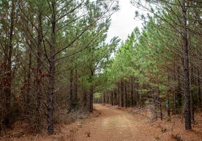 510 FORTLAWN IMG 6827