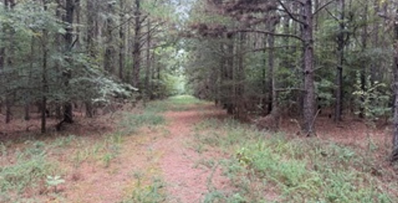 510 IMG 7885
