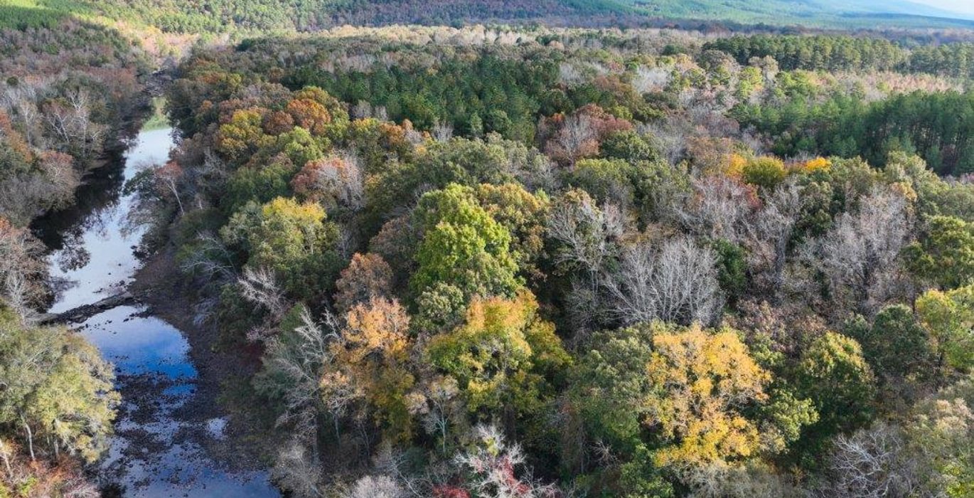 511 DJI 20251113092349 0004 V