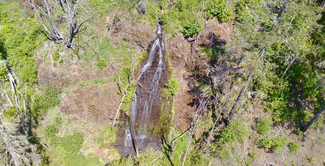 511 IMG20260528085627169