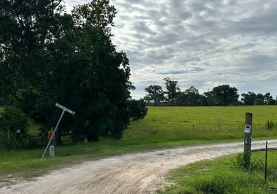 511 IMG 7882