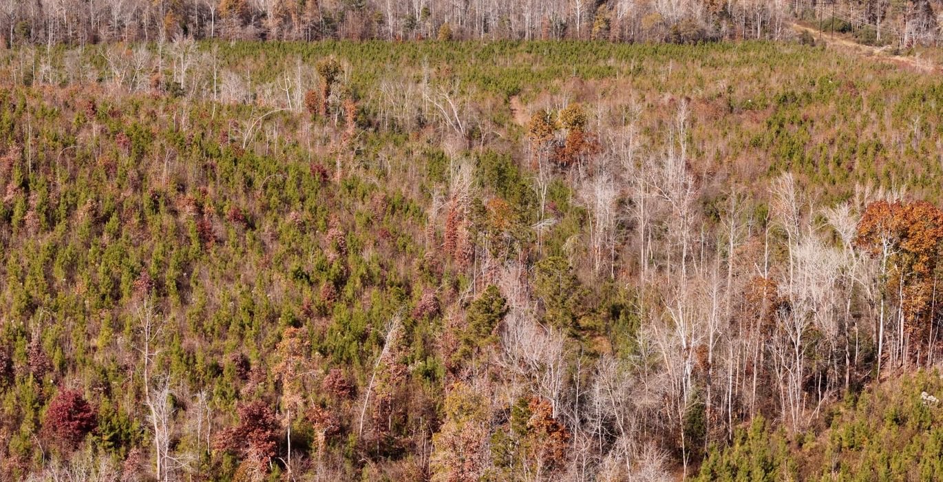 512 AFM Crump Farm Photo 4