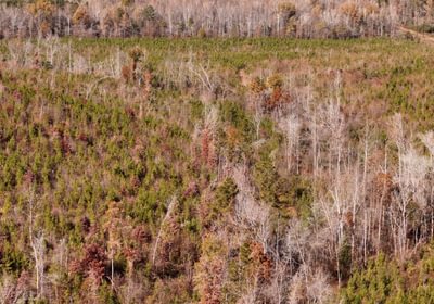 512 AFM Crump Farm Photo 4