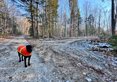 513 entrance top driveway from road
