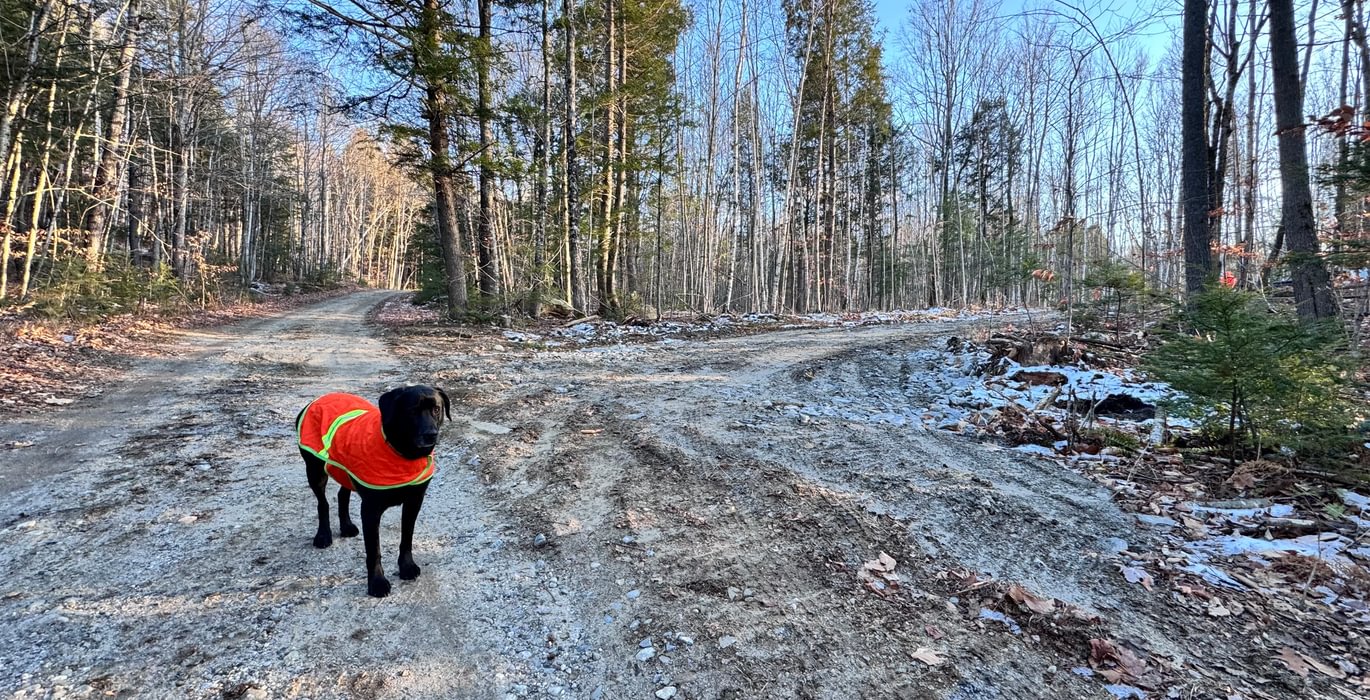 513 entrance top driveway from road