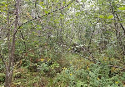 514 Land view 9