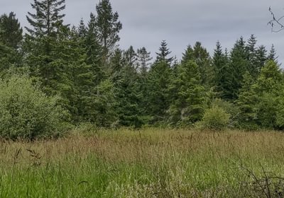 515 IMG 20250710 123445358 HDR
