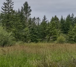 515 IMG 20250710 123445358 HDR