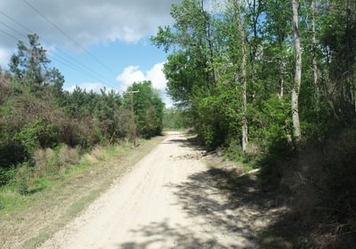 516 DJI 0093