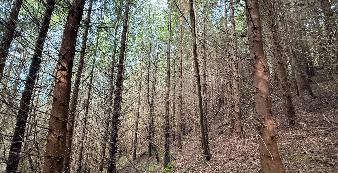 516 Photo Feb 26 2026 2 26 01 PM