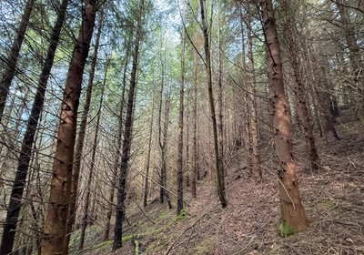 516 Photo Feb 26 2026 2 26 01 PM