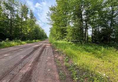 516 beartown 28