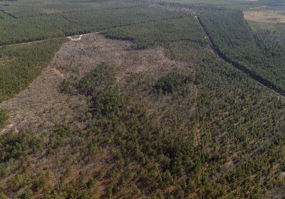 517 DJI 20250120122554 0031 D Enhanced NR 1
