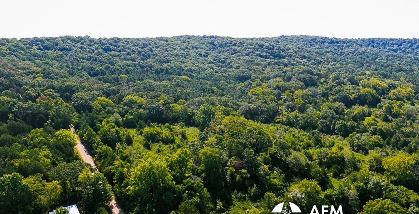 517 DJI 20260813101210 0122 D Medium Medium