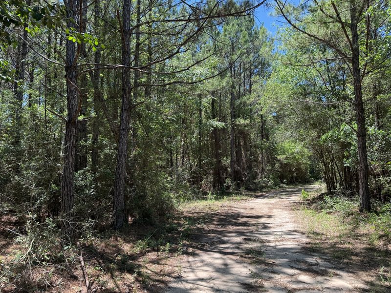 Photo 1 of Gilberts, 441.61 acres, Washington County, Florida