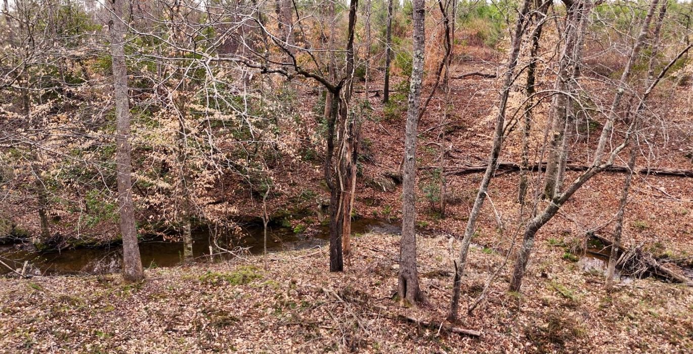 518 AFM West Fork 85 Photo 27