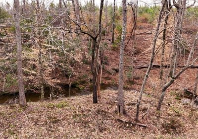 518 AFM West Fork 85 Photo 27