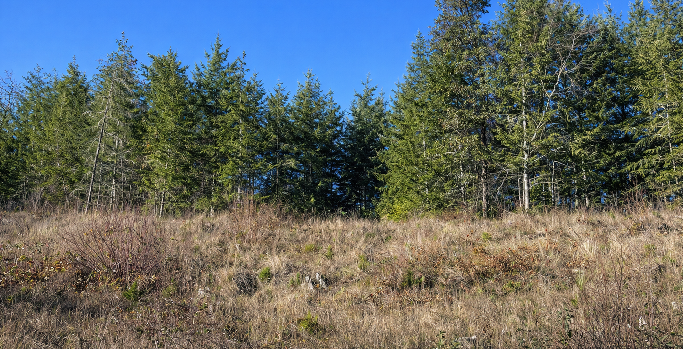 519 Chat GPT Image Jan 13 2026 at 04 57 18 PM