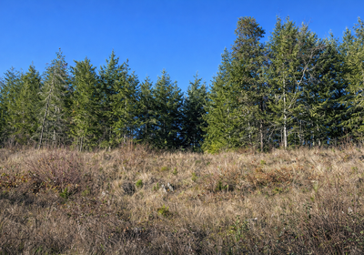 519 Chat GPT Image Jan 13 2026 at 04 57 18 PM