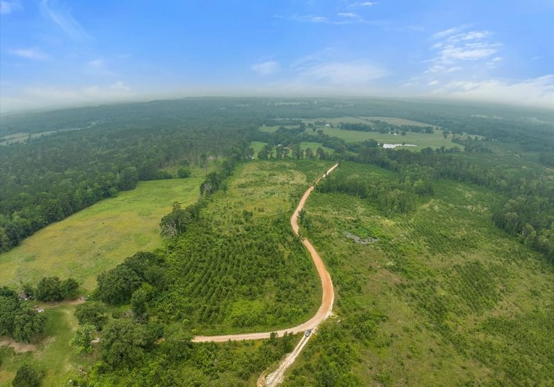 Photo 19 of L Jordan, 574 acres, Cherokee County, Texas