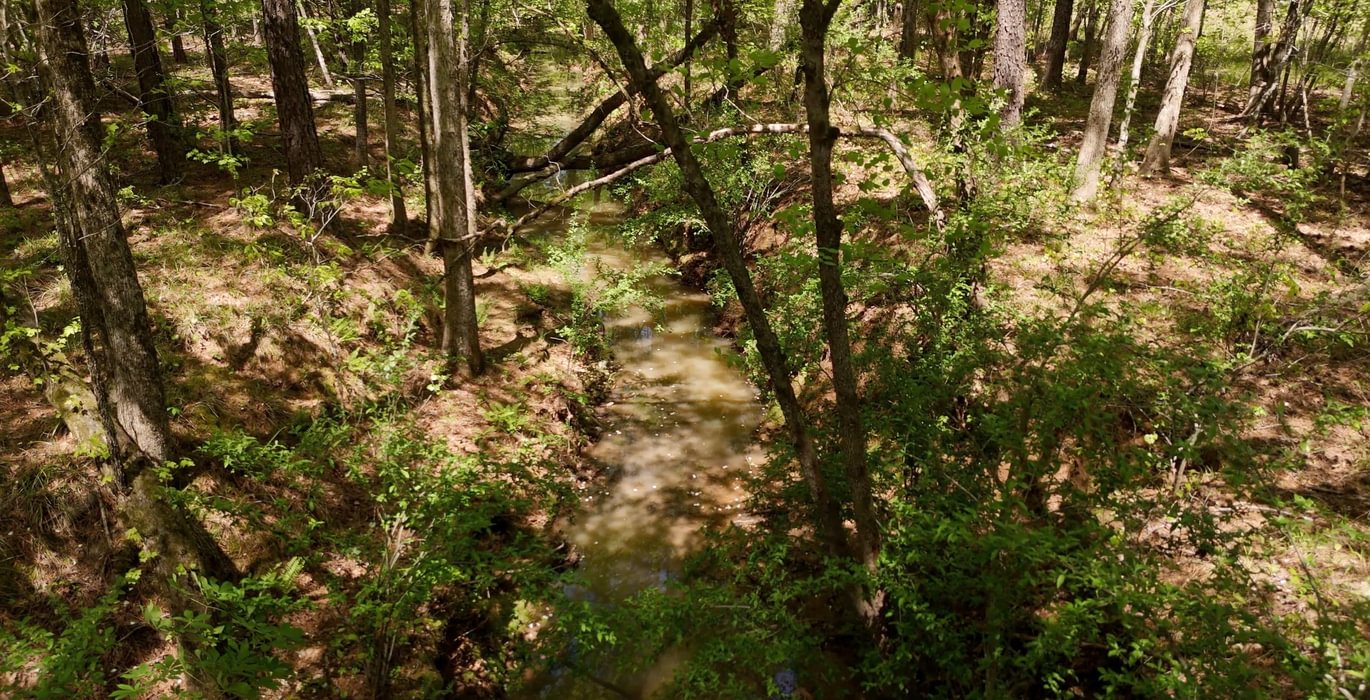 520 AFM Leak Mills Photo 16