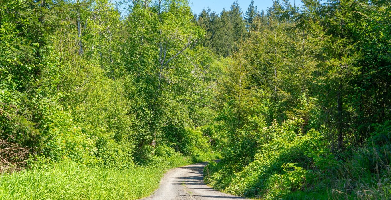 520 Road 1
