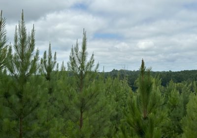 523 IMG 6081