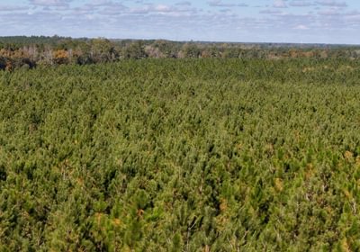 524 AFM Bladen 339 Photo 18