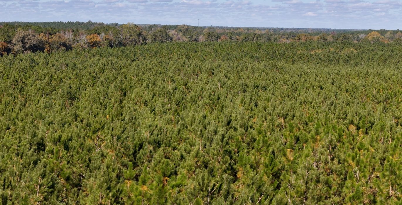 524 AFM Bladen 339 Photo 18