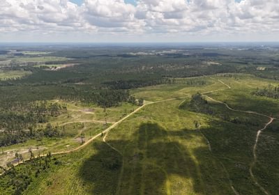 524 DJI 20250613123641 0113 D