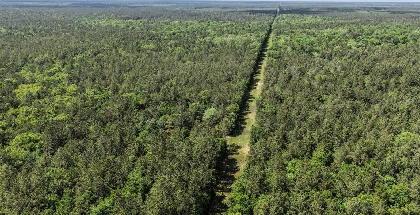 524 DJI 20260415144159 0148 D