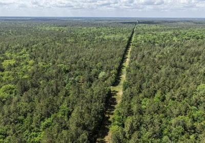 524 DJI 20260415144159 0148 D