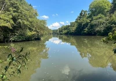 524 IMG 2391