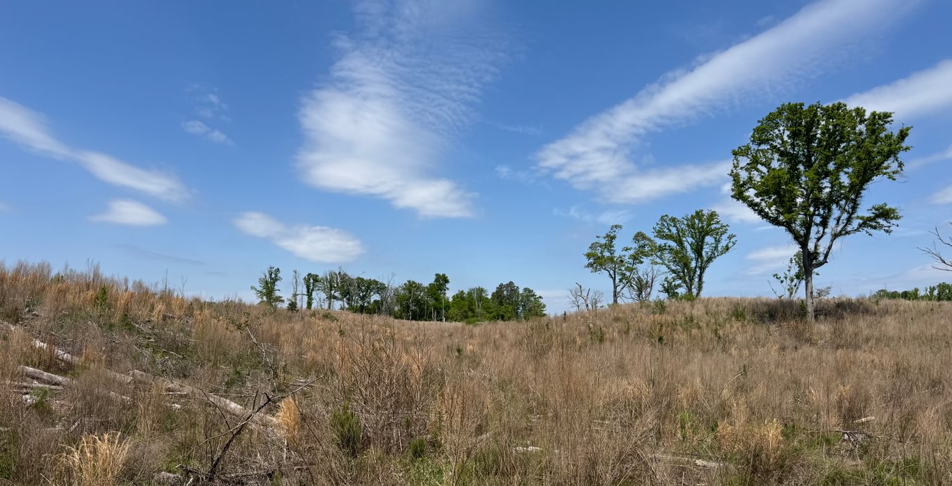 524 IMG 7174