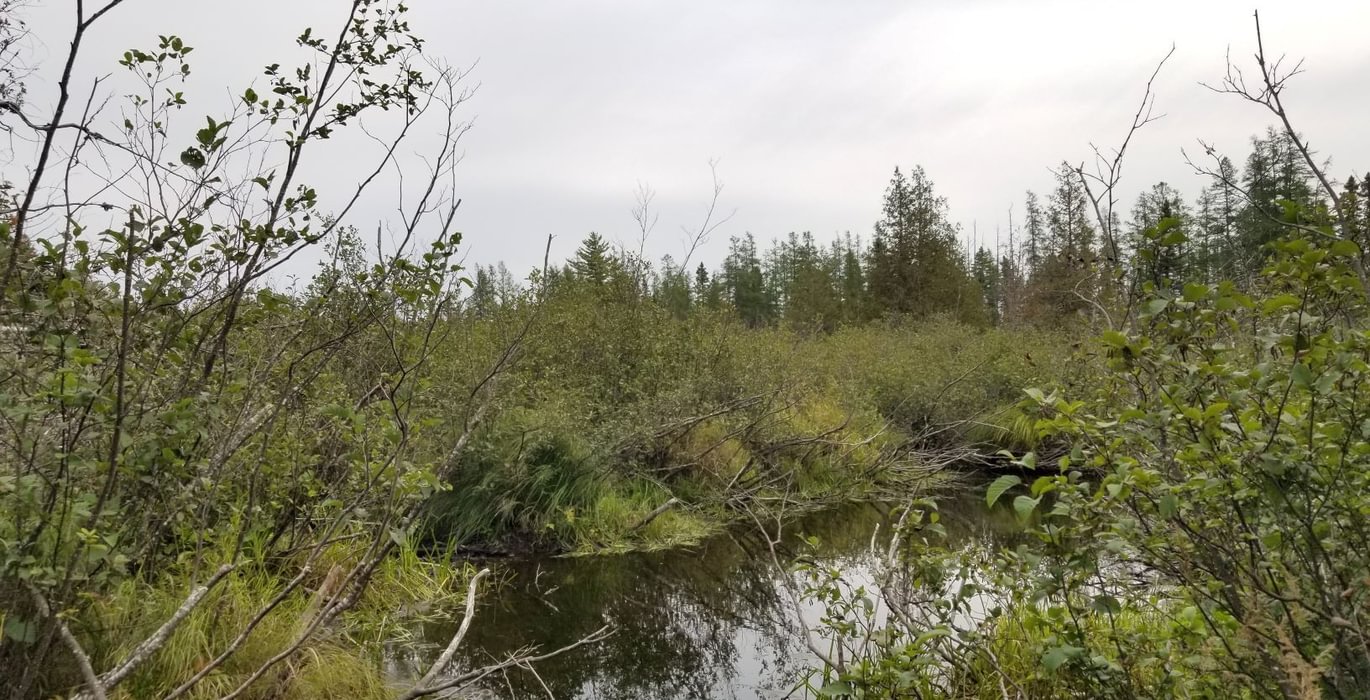524 Little Beaver Brook 3