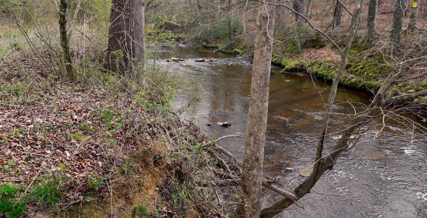 525 AFM West Fork 85 Photo 3