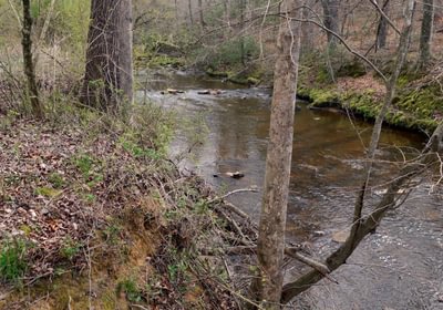 525 AFM West Fork 85 Photo 3