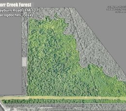 526 16 Boundary Image