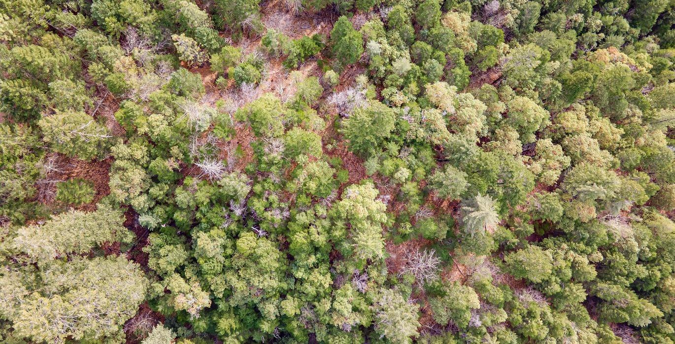 527 DJI 0802 HDR Image Merge