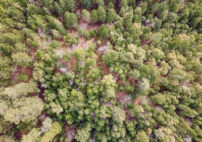 527 DJI 0802 HDR Image Merge