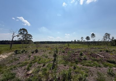 528 IMG 0237